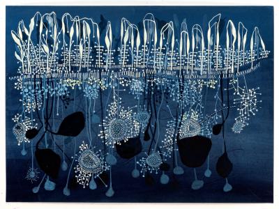 Abby Goldstein Queen Annes lace