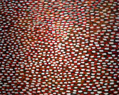 Abie Loy Aboriginal Painting Bush Medicine Leaves Dreaming Abie Loy