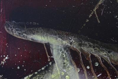 Abstract Painting Crawfish vs Turtle Acrylic On Canvas by MS Austria 2021