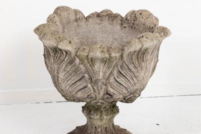 Acanthus Leaf Planter