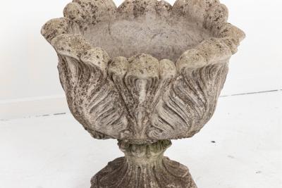 Acanthus Leaf Planter