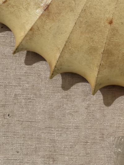 Achille Castiglioni Castiglioni Italian 1960 Mid Century Light