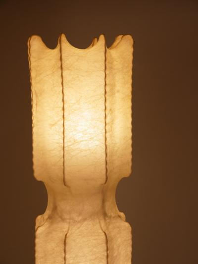 Achille Castiglioni Cocoon floor lamp c1960