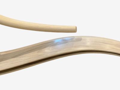 Adam Bentz Contemporary Ashwood Organic Chandelier LED USA 21st C 