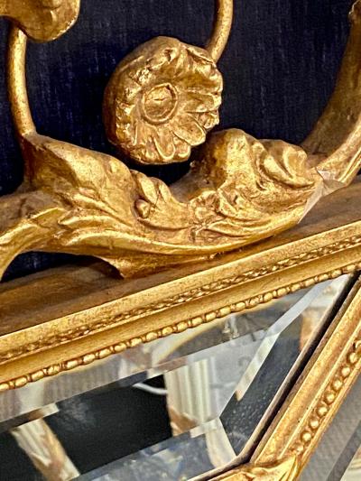 Adams Style Gilt Carved Wall Mirror with All Beveled Inserts
