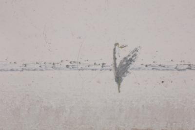 Adja Yunkers Adja Yunkers Drifting Whiteness 1975 68 x 50 