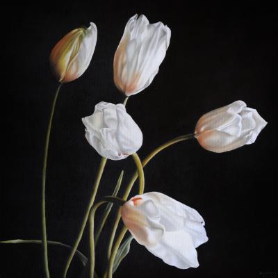 Adriana Molea White Tulips 