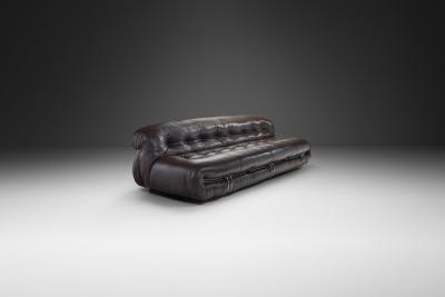Afra Tobia Scarpa Afra and Tobia Scarpa Soriana Sofa in Leather Italy 1969
