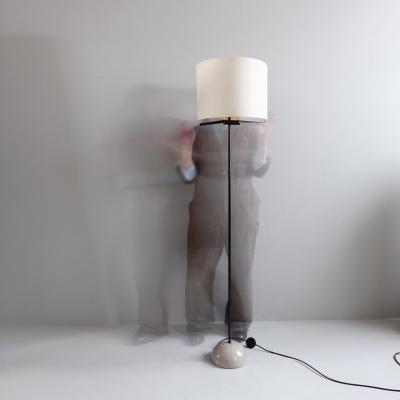 Afra Tobia Scarpa Scarpa metamorphic standard lamp Italy