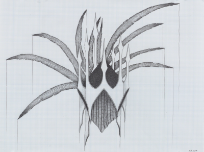 Afruz Amighi Warriors Headdress drawing 2017