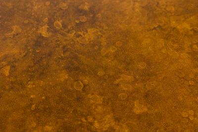 Aldo Tura Aldo Tura Modern Monumental Goatskin and Dark Walnut Dining Center Table