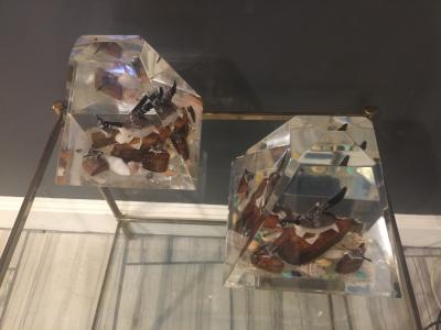 Alessandro Albrizzi High End Pair of Lucite Diorama Obelisks