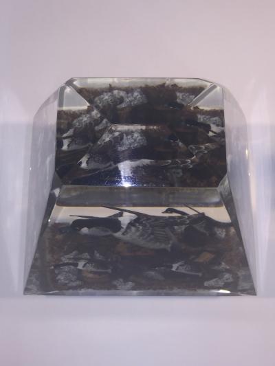 Alessandro Albrizzi Modern Trio of High End Solid Lucite Obelisks With Diorama of Wildlife Scenes