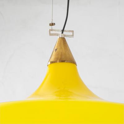 Alessandro Pianon Alessandro Pianon Pair of Colored Chandeliers for Vistosi 60s
