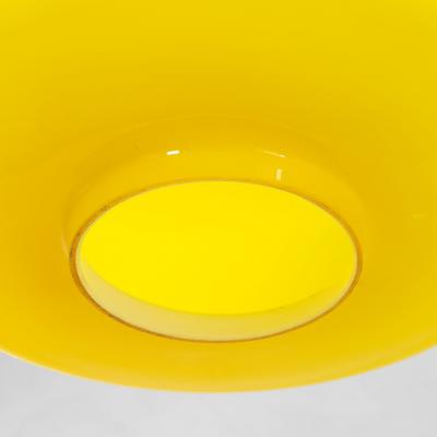 Alessandro Pianon Alessandro Pianon Pair of Colored Chandeliers for Vistosi 60s