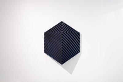 Alex Bloc Shell Hexa 2