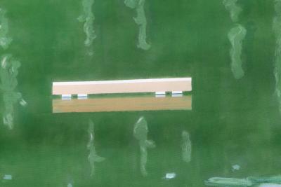 Alex Katz The Raft