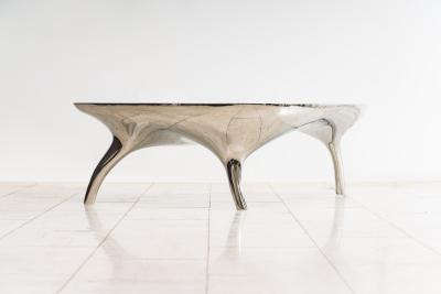 Alex Roskin Trois Jambes Low Table