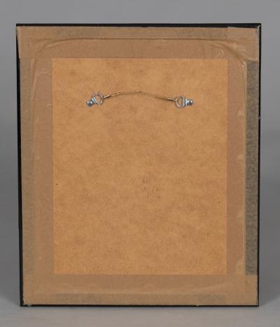 Alexander Francis Lydon Parrot Engravings by Alexander Francis Lydon Set of Four