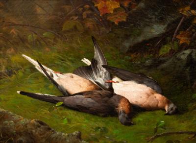 Alfred S Wall Nature Morte Fallen Doves 1865 Alfred S Wall