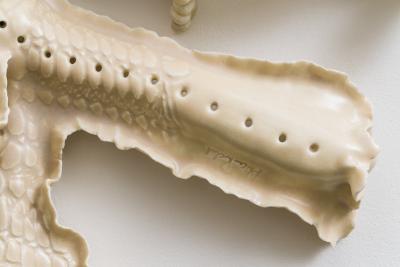 Alice Riehl Alice Riehl Tresor I FR 2022