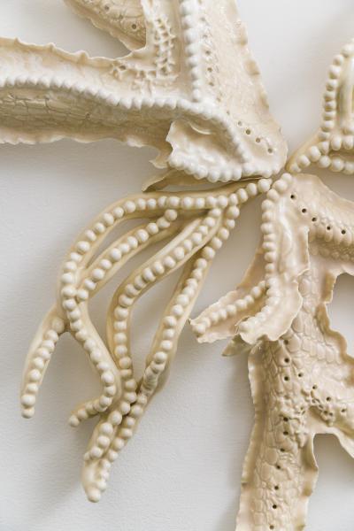 Alice Riehl Alice Riehl Tresor I FR 2022