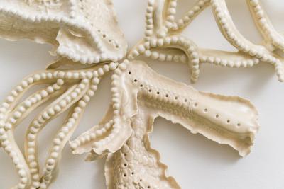 Alice Riehl Alice Riehl Tresor I FR 2022