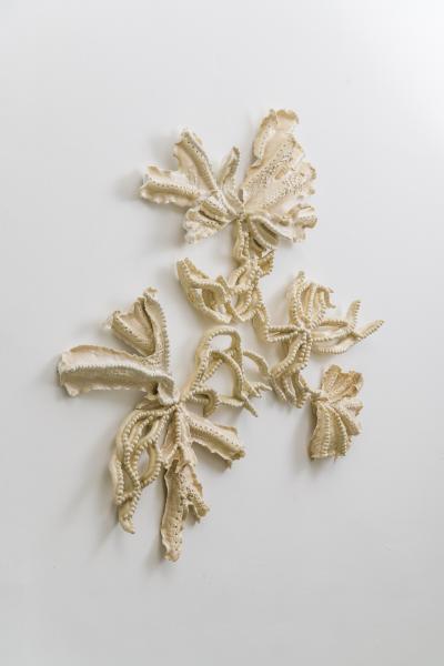 Alice Riehl Alice Riehl Tresor I FR 2022