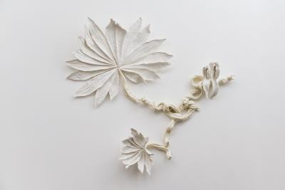 Alice Riehl Lianes FR