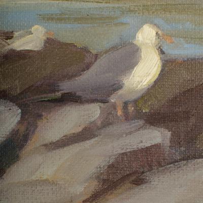 Alison Hill Alison Hill American Late 20th Century Seagulls on the Rocks
