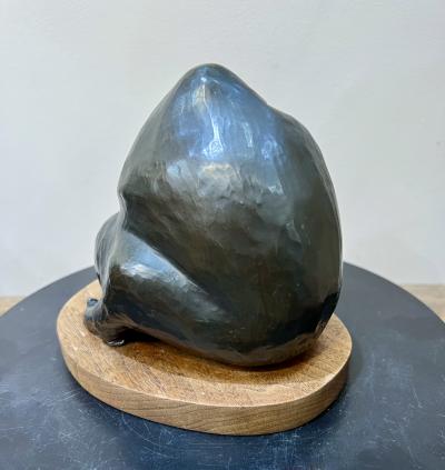 Allan Capron Houser Apache Lovers