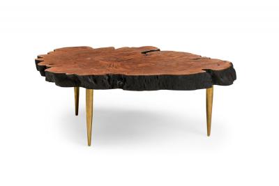 Almada Contemporary Modern Live Edge Petrified Wood and Brass Coffee Table