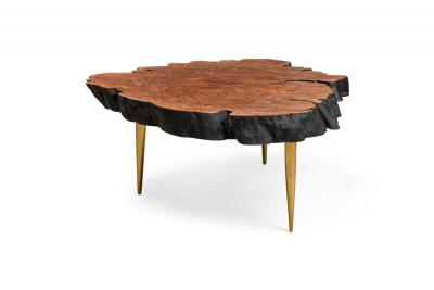 Almada Contemporary Modern Live Edge Petrified Wood and Brass Coffee Table