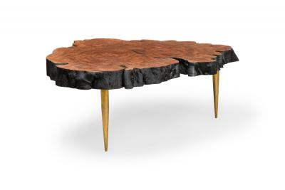 Almada Contemporary Modern Live Edge Petrified Wood and Brass Coffee Table