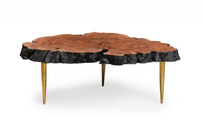 Almada Contemporary Modern Live Edge Petrified Wood and Brass Coffee Table