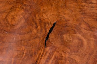 Almada Contemporary Modern Live Edge Petrified Wood and Brass Coffee Table