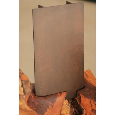 Alper Nakri My Neighbor s Tree