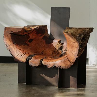 Alper Nakri My Neighbor s Tree