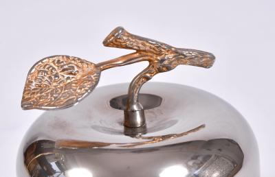 American 1960s silver apple