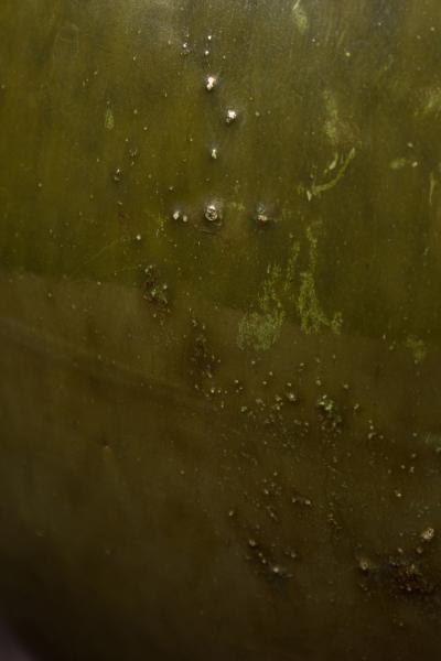 American Contemporary Green Ceramic Sphere