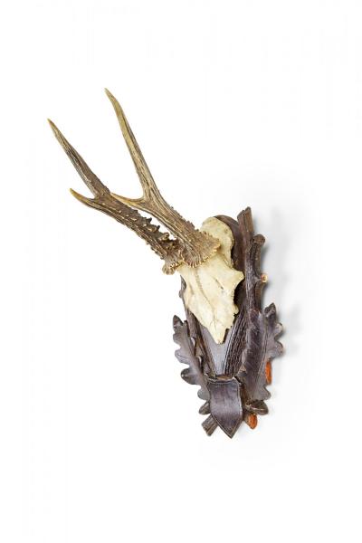 American Country Style Taxidermy Antler Plaque