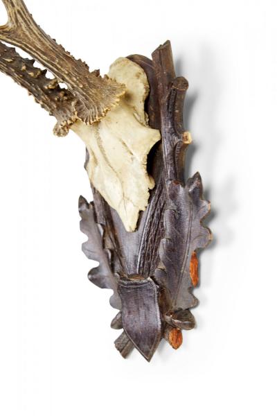 American Country Style Taxidermy Antler Plaque