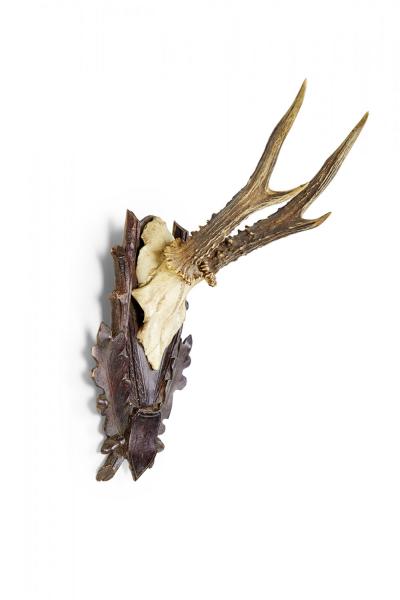 American Country Style Taxidermy Antler Plaque