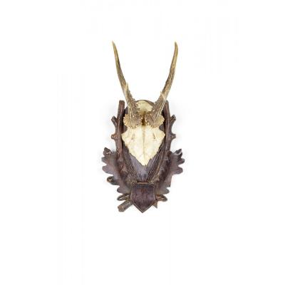 American Country Style Taxidermy Antler Plaque