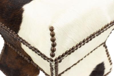 American Cowhide and Brass Box