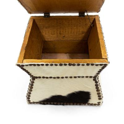 American Cowhide and Brass Box