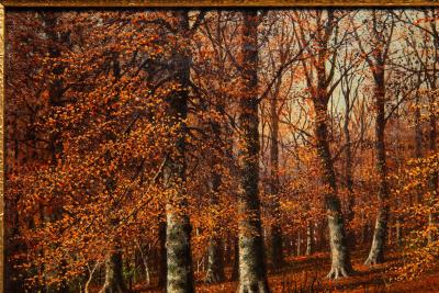 American Landscape Painting of Beech Woods in Autumn by William Snyder