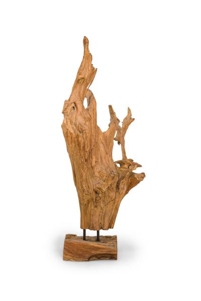 American Mid Century Wild Asian Teak Tree Root Sculpture