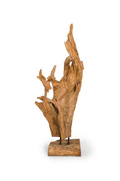 American Mid Century Wild Asian Teak Tree Root Sculpture
