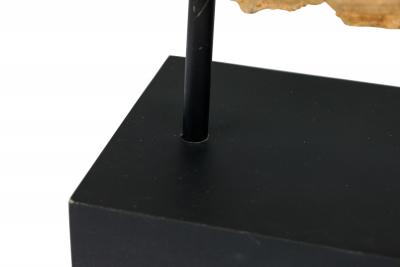American Petried Wood Table Sculpture